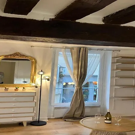 Cosy Flat Near Le Marais Apartment Paris